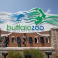 The Main Goals of Organizations in Buffalo, New York