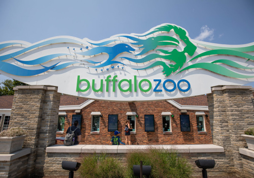 The Main Goals of Organizations in Buffalo, New York